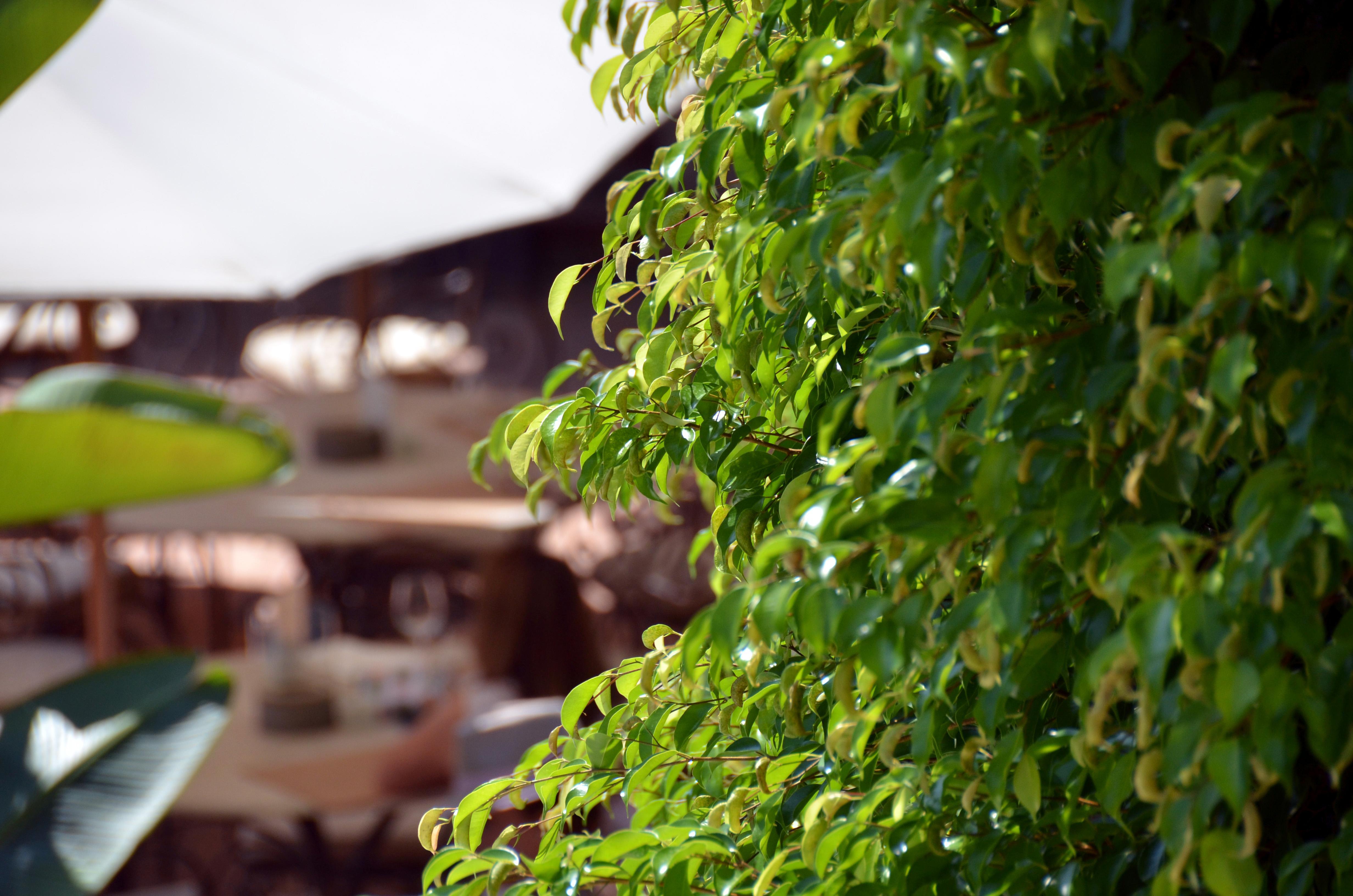 Swiss Moraira Hotel & Spa - Designed For Adults מראה חיצוני תמונה